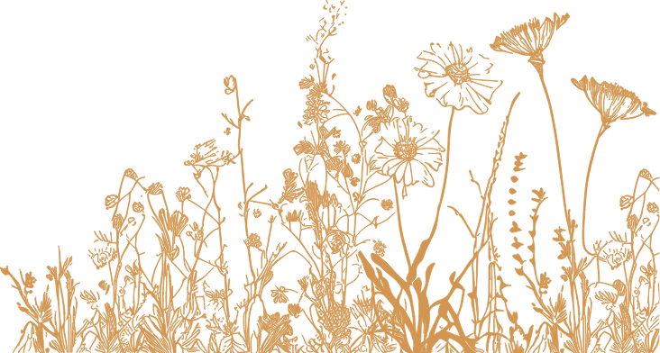 garden-greyband-illustration garden-greyband-illustration